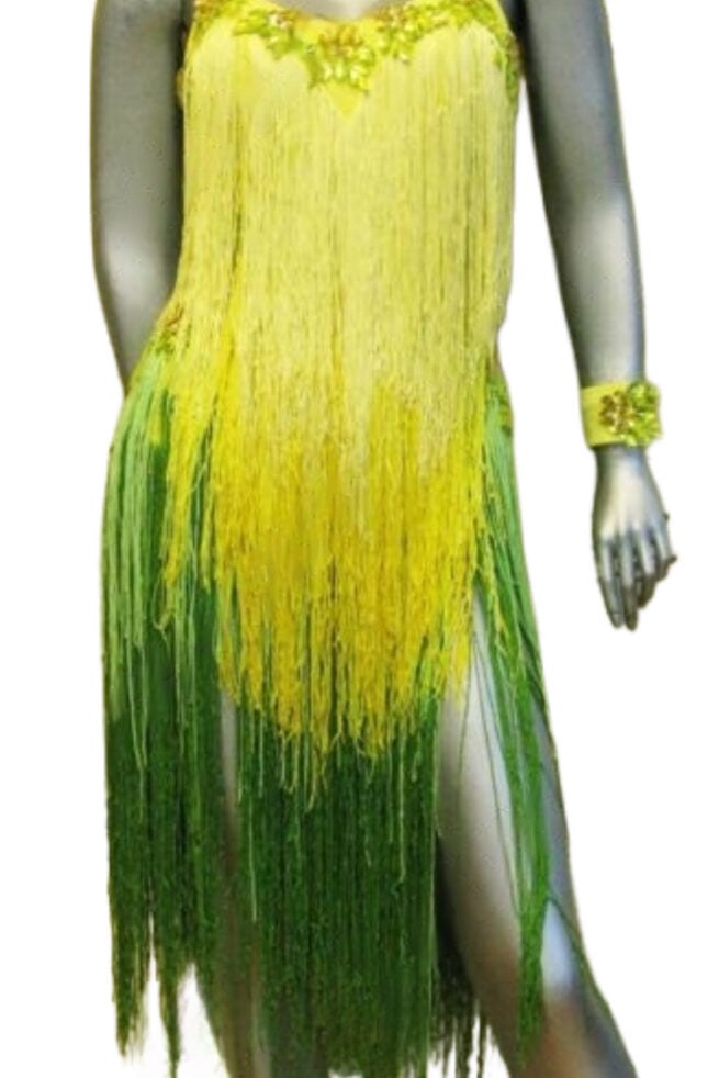 Load image into Gallery viewer, Latin Dance Competition Dress (LT0711)
