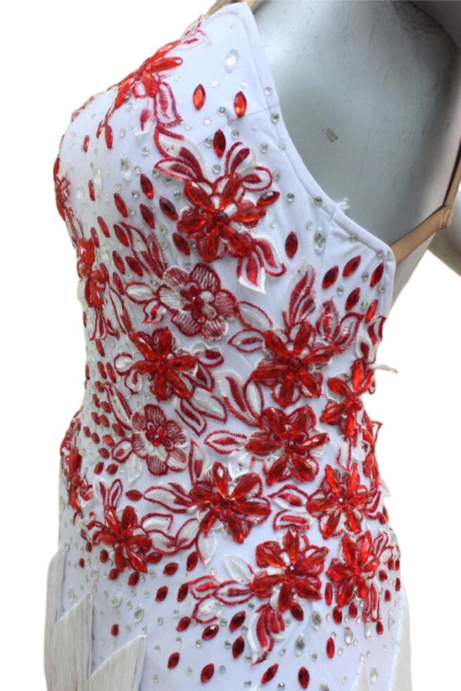 Load image into Gallery viewer, Latin Dance Competition Dress (LT019)
