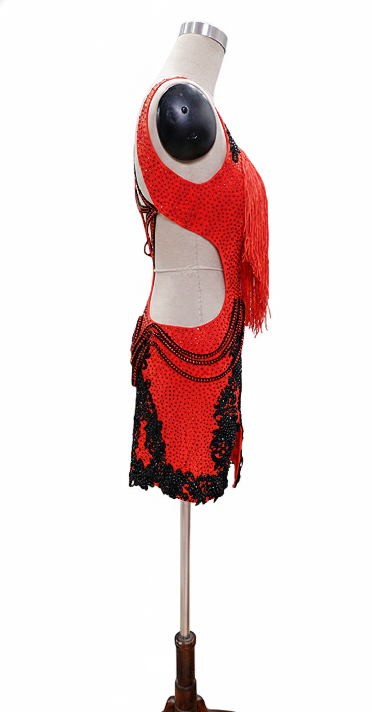 ByCharme Red Black Brown Fringes Latin Salsa Competition Dress - BCL-0059