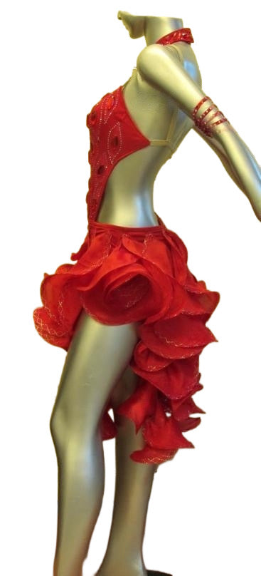 Load image into Gallery viewer, Latin Dance Competition Dress (LT0500A)
