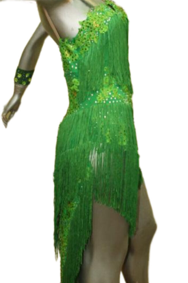 Load image into Gallery viewer, Latin Dance Competition Dress (LT0437)
