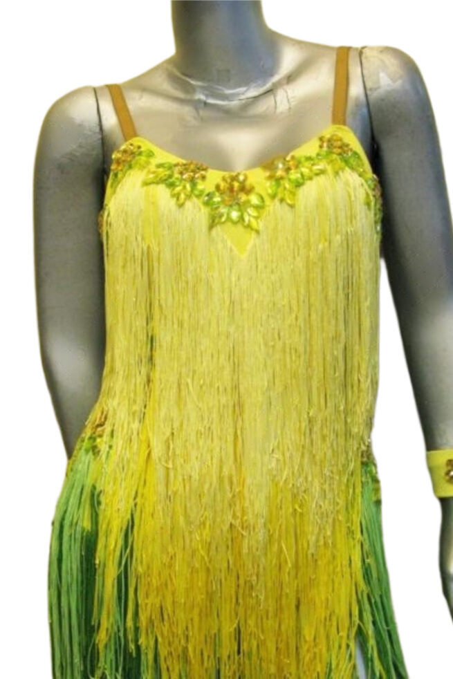 Load image into Gallery viewer, Latin Dance Competition Dress (LT0711)
