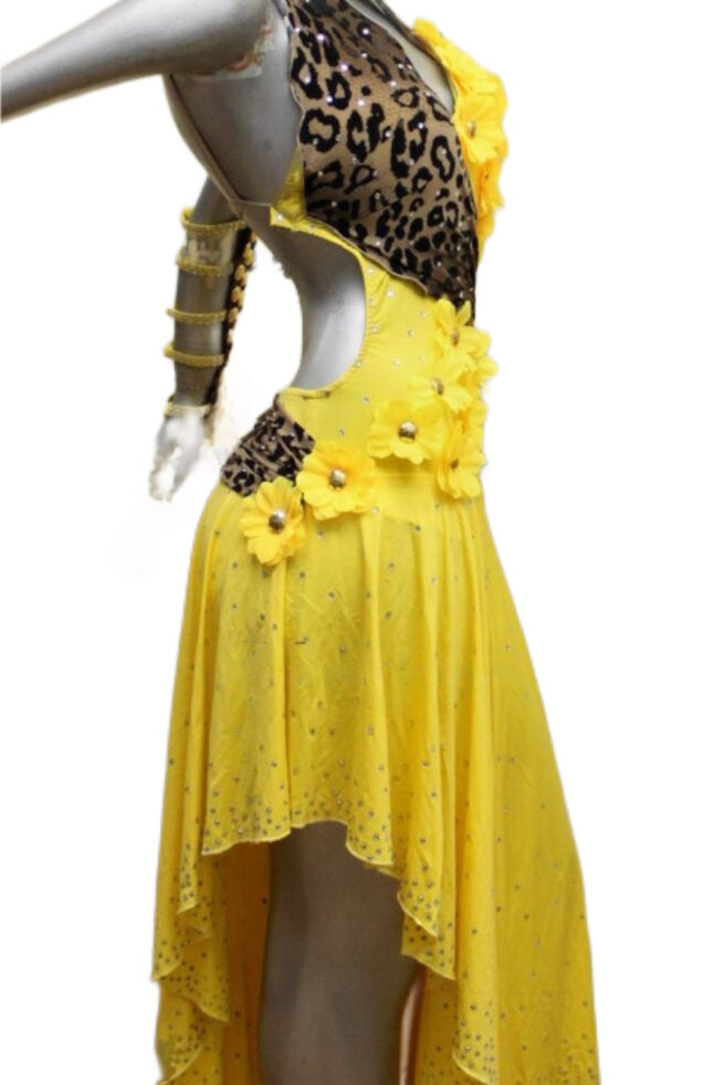 Load image into Gallery viewer, Latin Dance Competition Dress (LT0488)
