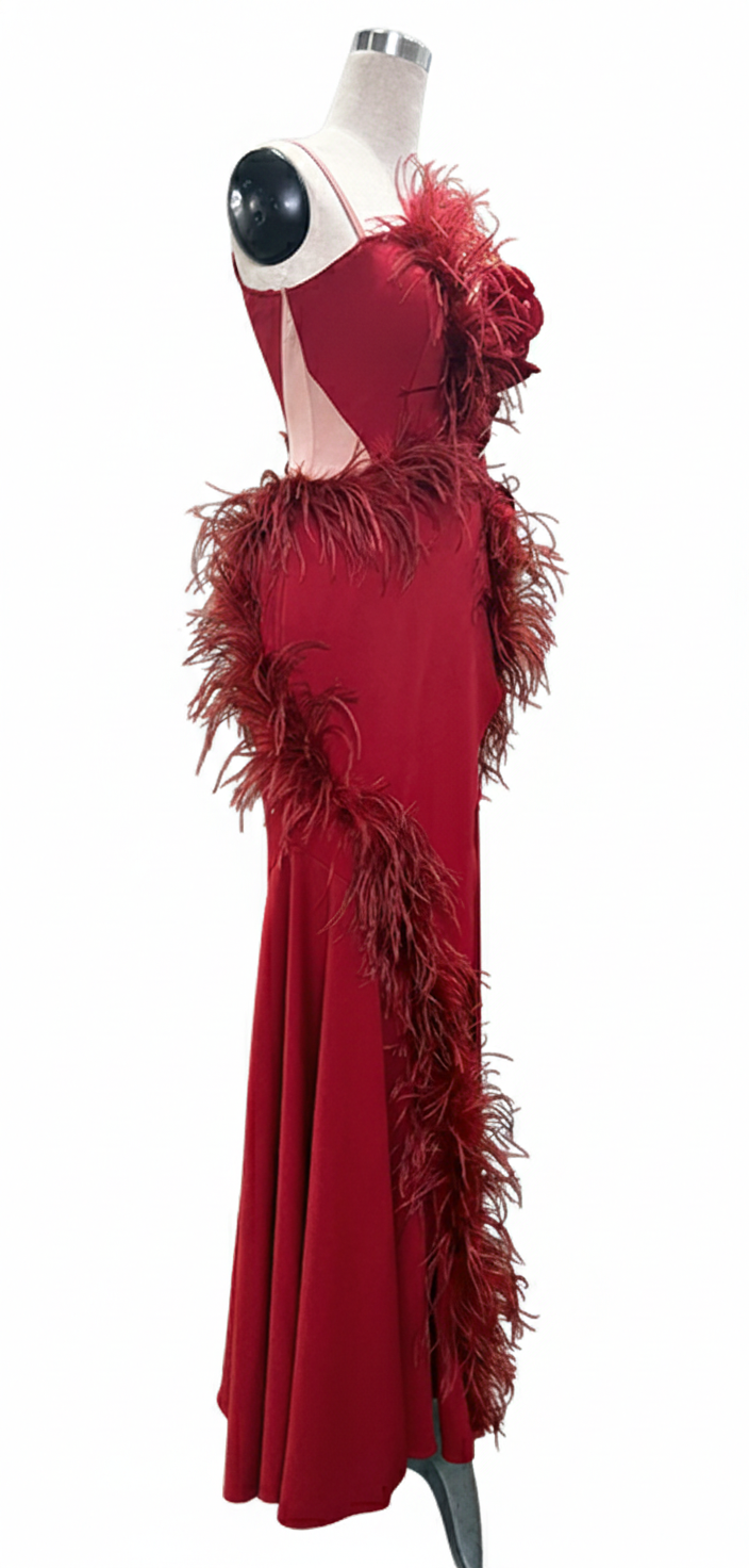 ByCharme Firebrick Feather Ballroom Competition Dress - BC-0050