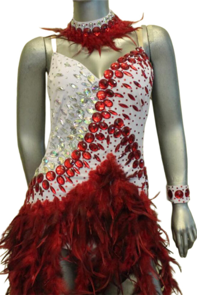 Load image into Gallery viewer, Latin Dance Competition Dress (LT0114)
