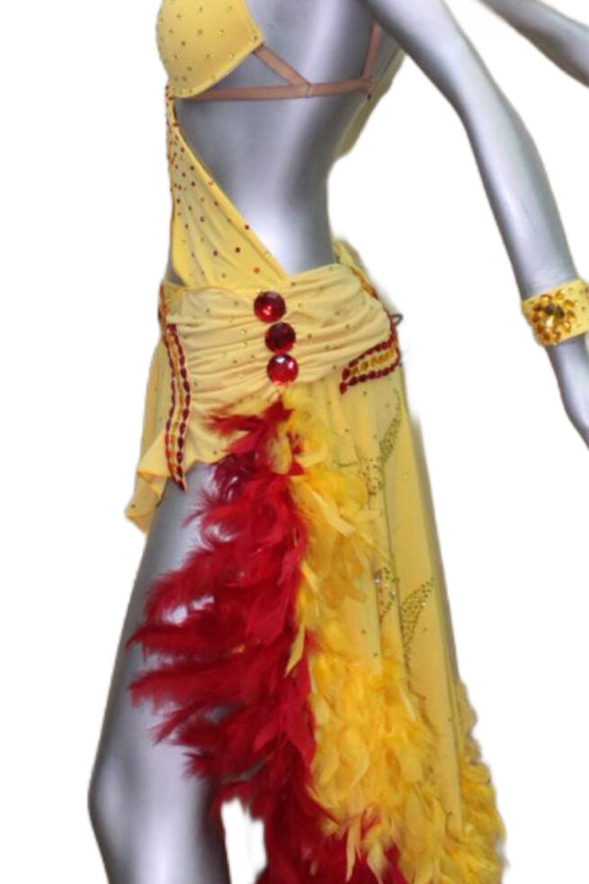 Load image into Gallery viewer, Latin Dance Competition Dress (LT024)
