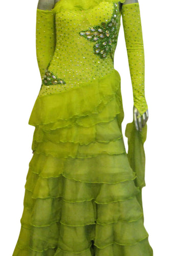 Standard Ballroom Competition Dress (B0165)