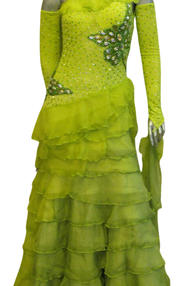 Load image into Gallery viewer, Standard Ballroom Competition Dress (B0165)
