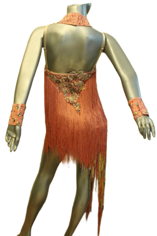 Load image into Gallery viewer, Latin Dance Competition Dress (LT078)
