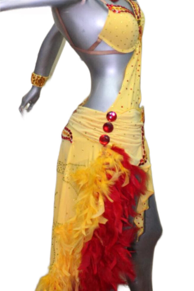 Load image into Gallery viewer, Latin Dance Competition Dress (LT024)
