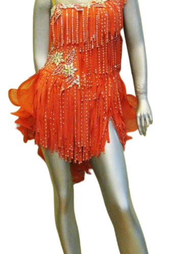 Latin Dance Competition Dress (LT0709)