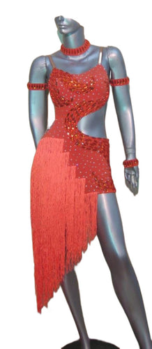 Latin Dance Competition Dress (LS025)