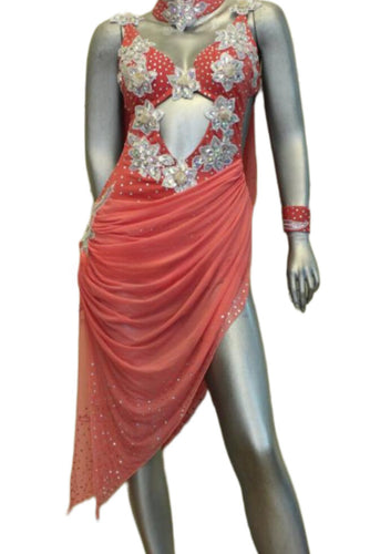 Latin Dance Competition Dress (LS0109)