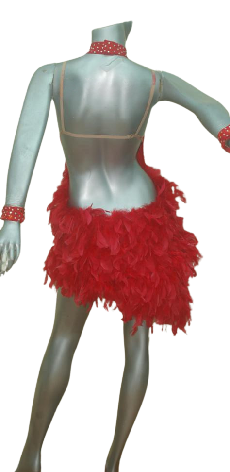 Load image into Gallery viewer, Latin Dance Competition Dress (LS016)
