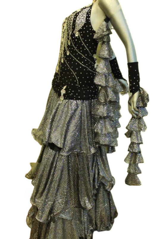 Standard Ballroom Competition Dress (B020)