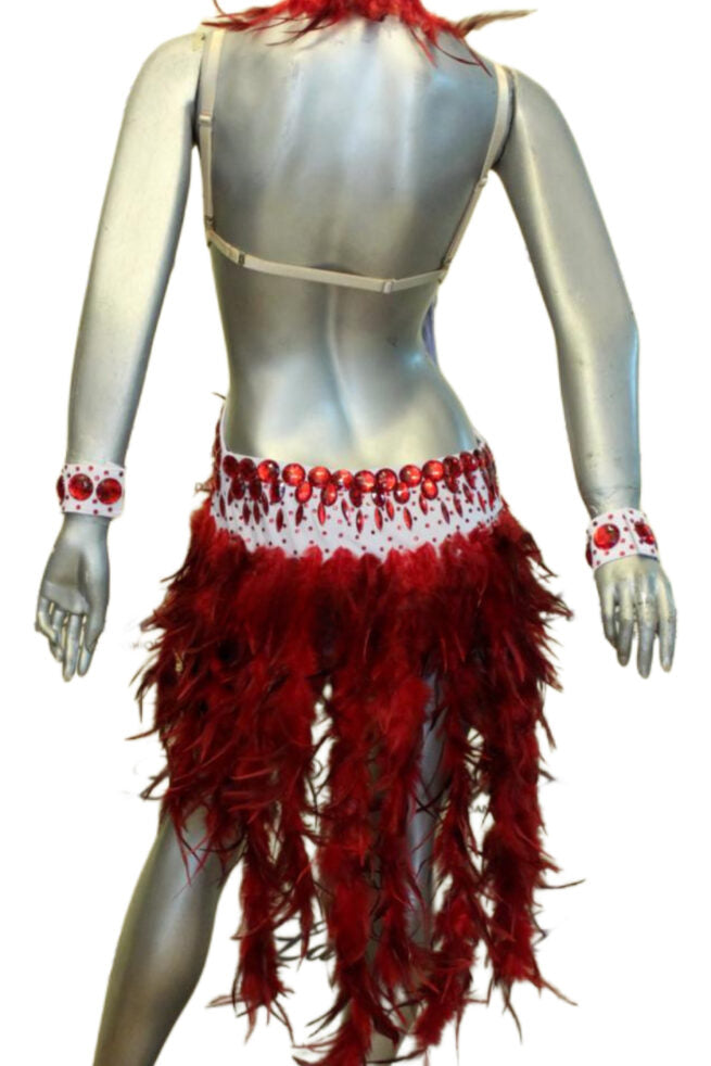 Load image into Gallery viewer, Latin Dance Competition Dress (LT0114)
