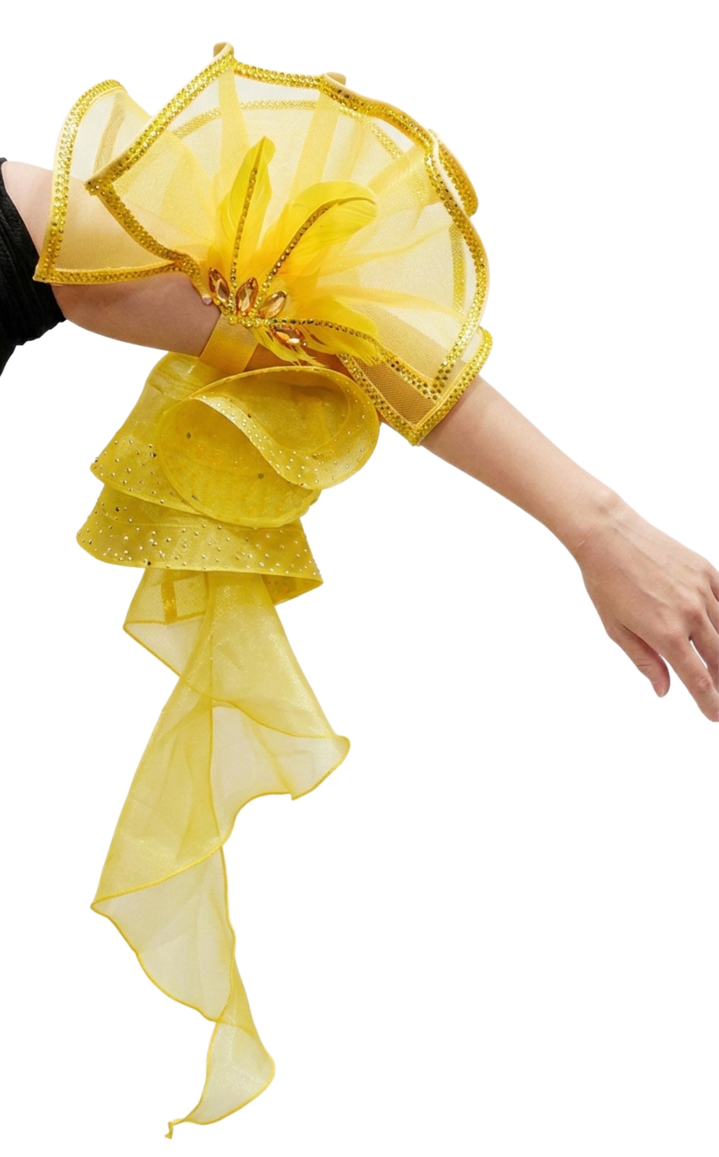 ByCharme Black Fringes Ballroom Competition Dress - BC-0041