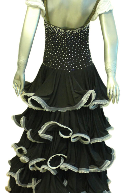 Standard Ballroom Competition Dress (B069)