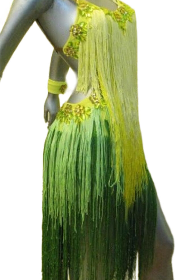 Load image into Gallery viewer, Latin Dance Competition Dress (LT0711)
