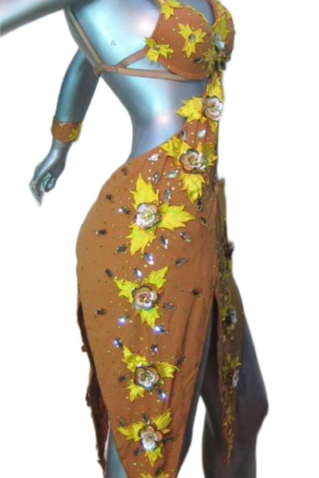 Load image into Gallery viewer, Latin Dance Competition Dress (LT030)
