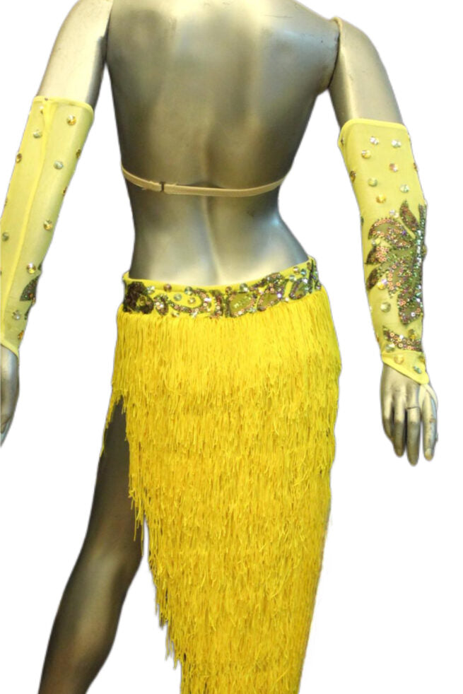 Load image into Gallery viewer, Latin Dance Competition Dress (LT0585)
