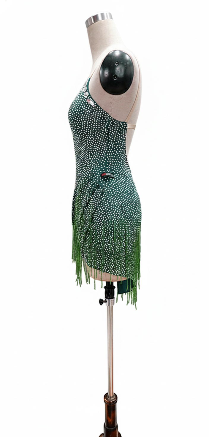ByCharme Forest Green Tan Fringes Latin Salsa Competition Dress - BCL-0092