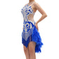 ByCharme Blue Silver Brown Fringes Latin Salsa Competition Dress - BCL-0062