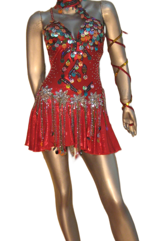 Load image into Gallery viewer, Latin Dance Competition Dress (LT0396)
