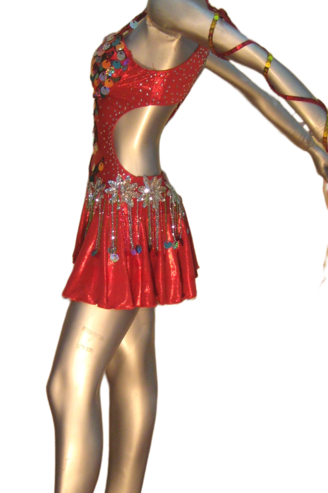 Load image into Gallery viewer, Latin Dance Competition Dress (LT0396)
