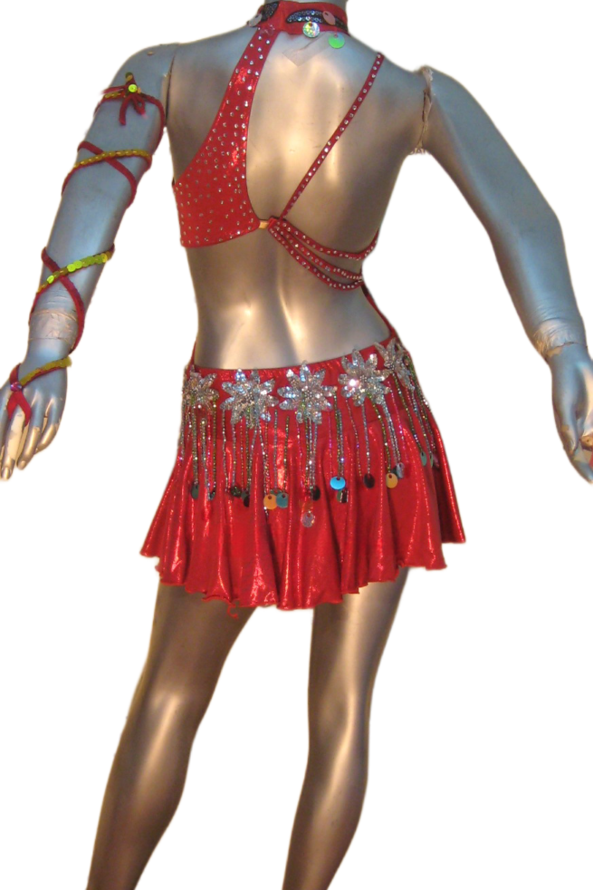 Load image into Gallery viewer, Latin Dance Competition Dress (LT0396)
