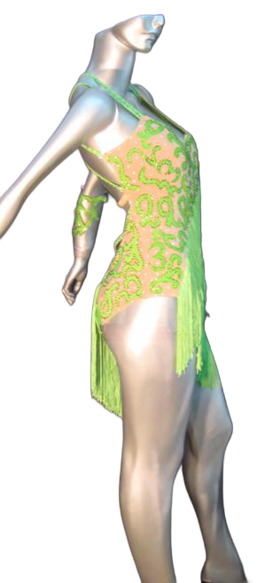 Load image into Gallery viewer, Latin Dance Competition Dress (LT0146)
