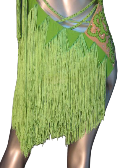 Load image into Gallery viewer, Latin Dance Competition Dress (LT0146)
