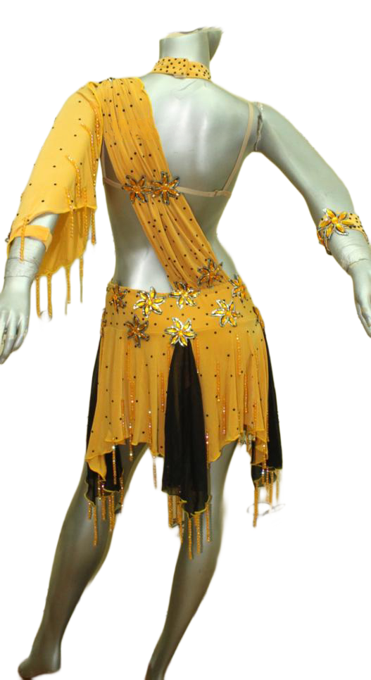 Load image into Gallery viewer, Latin Dance Competition Dress (LT004)
