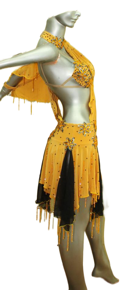 Load image into Gallery viewer, Latin Dance Competition Dress (LT004)
